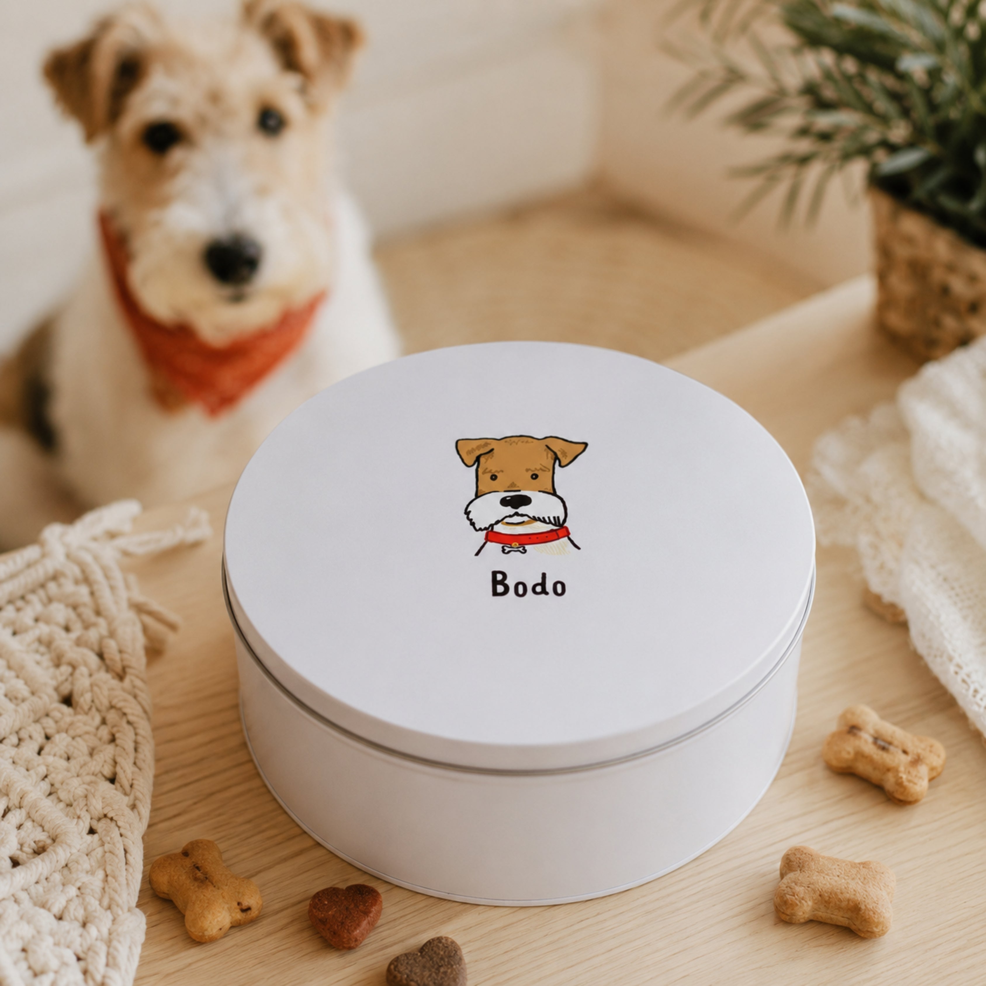 Personalisierte Hundedose mit Wunschname – Hunderasse auswählen & Blechdose bedrucken lassen